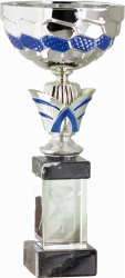 2107 Copa amb CUB de vidre 26 Cm