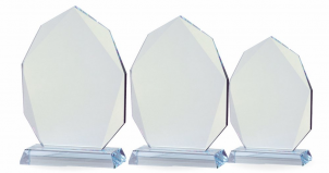 2116 Glass trophies