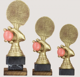 4713 Trophée PING-PONG